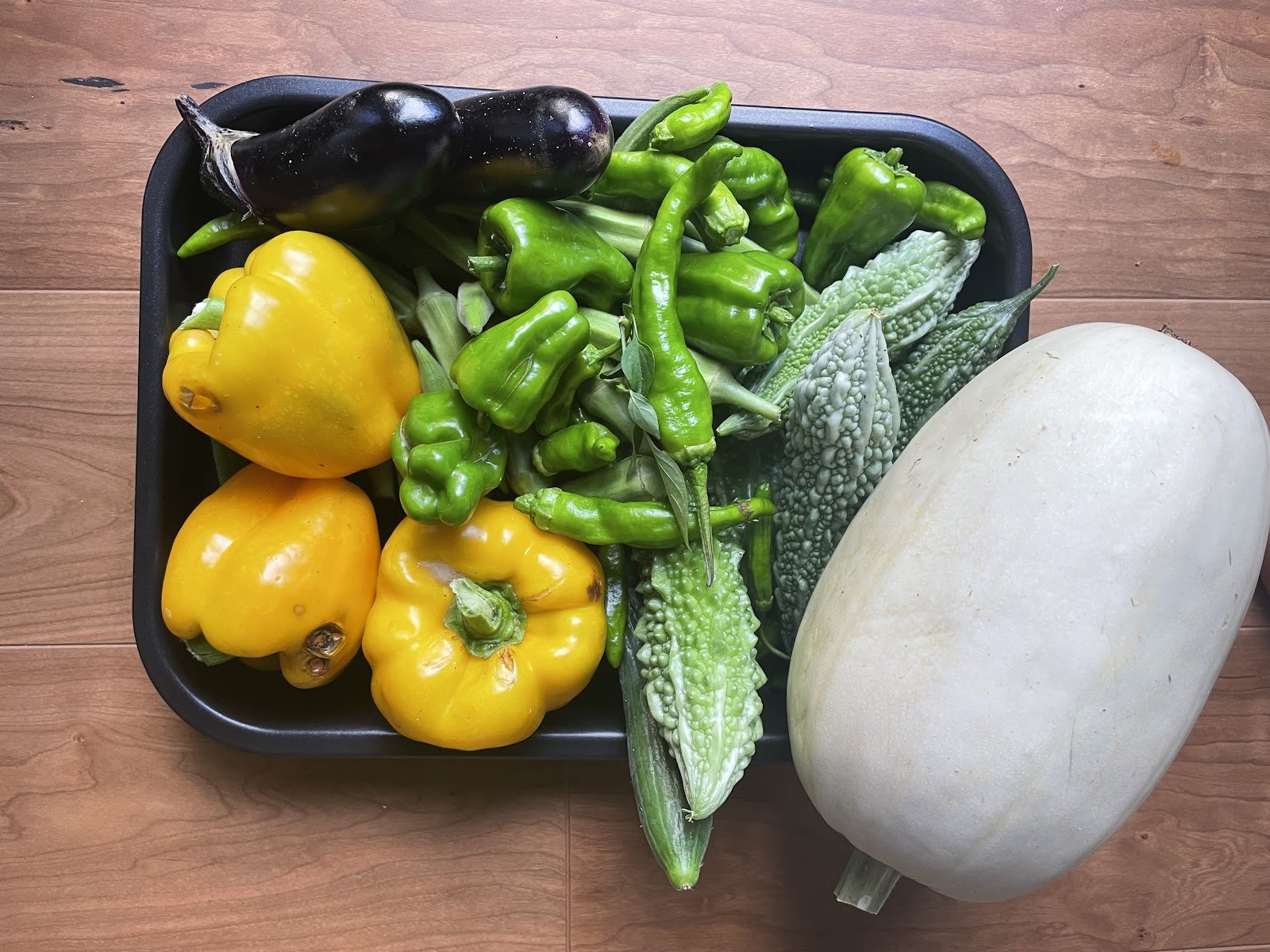  A local family kindly showed me their vegetable farm, and gave me these beautiful organic vegetables.&nbsp; 