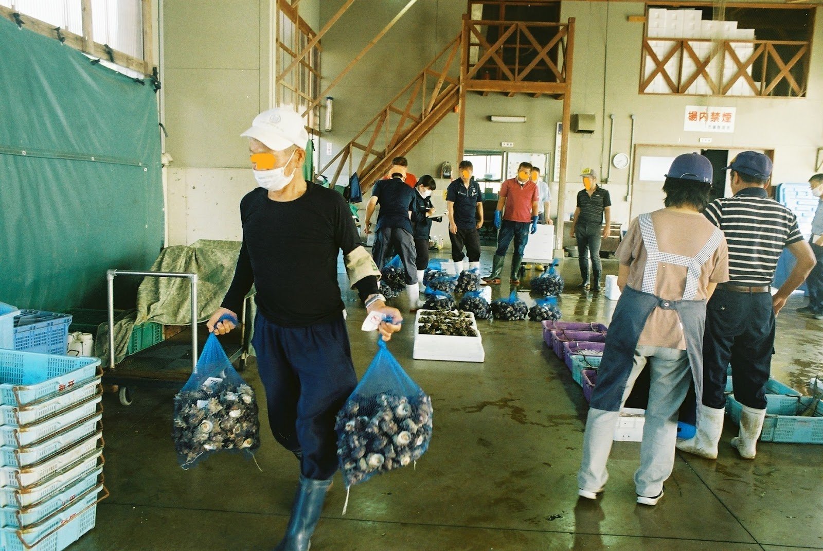 A fishing auction in Northern Kyoto.