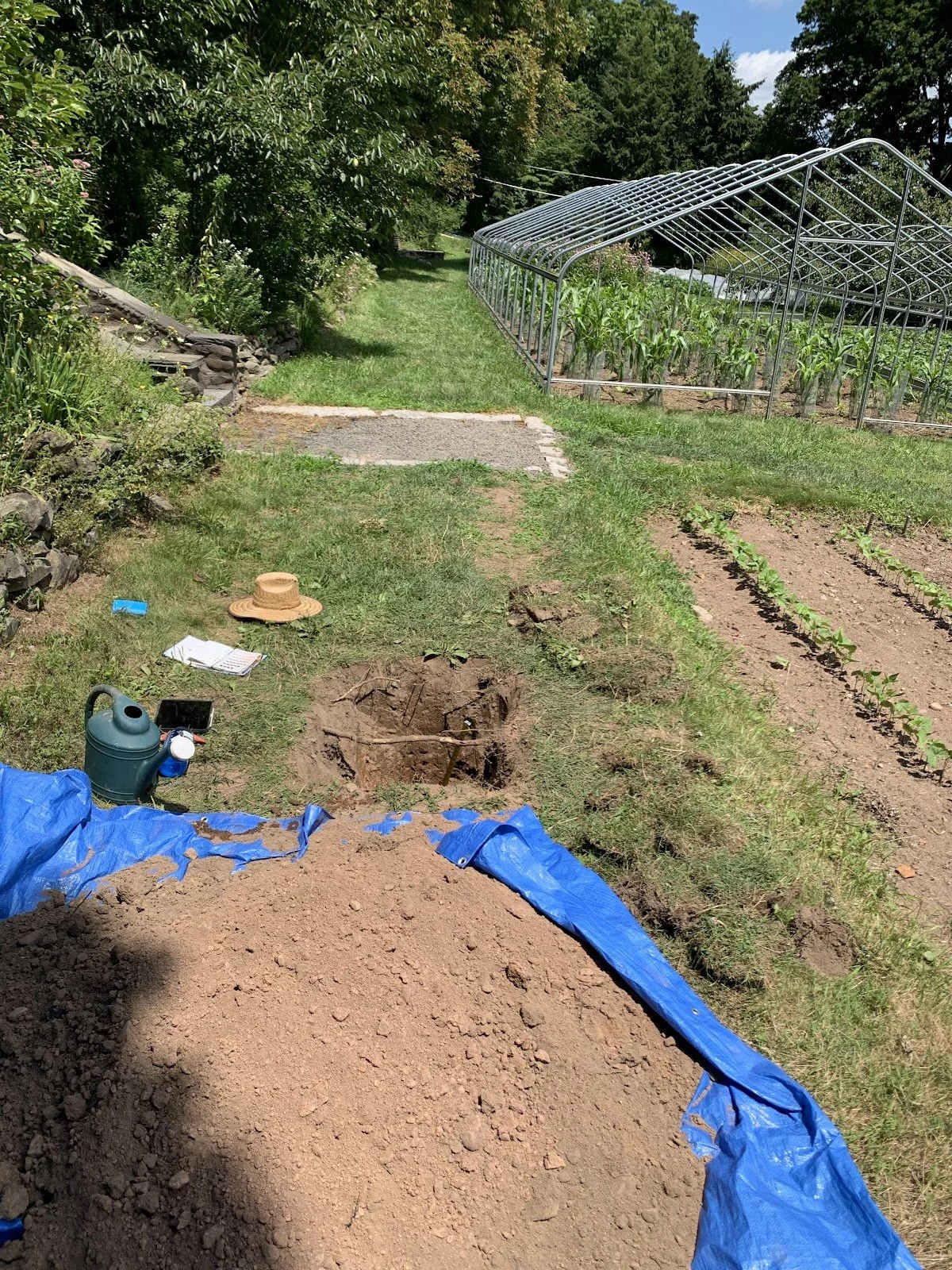The Effects of the Old Acre’s Hill on Its Soil | LSI '23