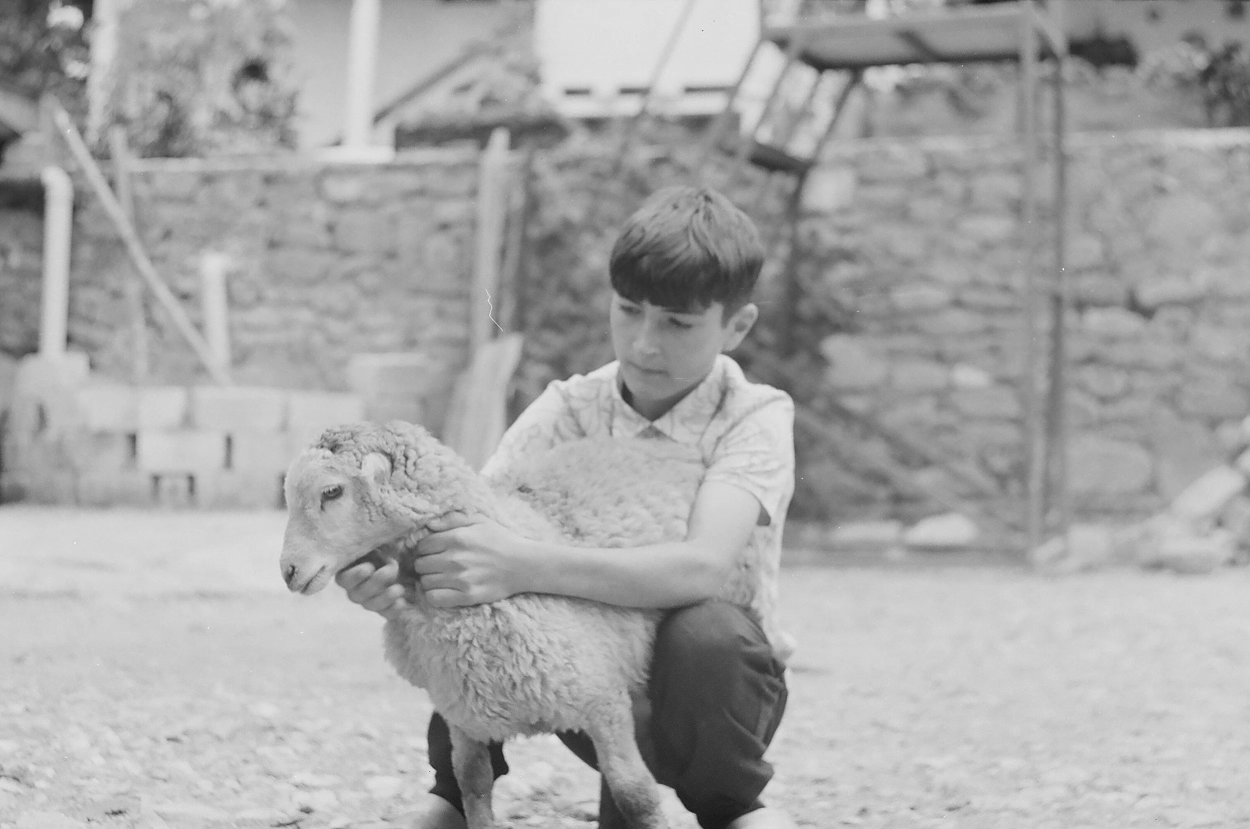 Digital Village: Exploring Food and Change in the Mountain Villages of Azerbaijan | GFF '24