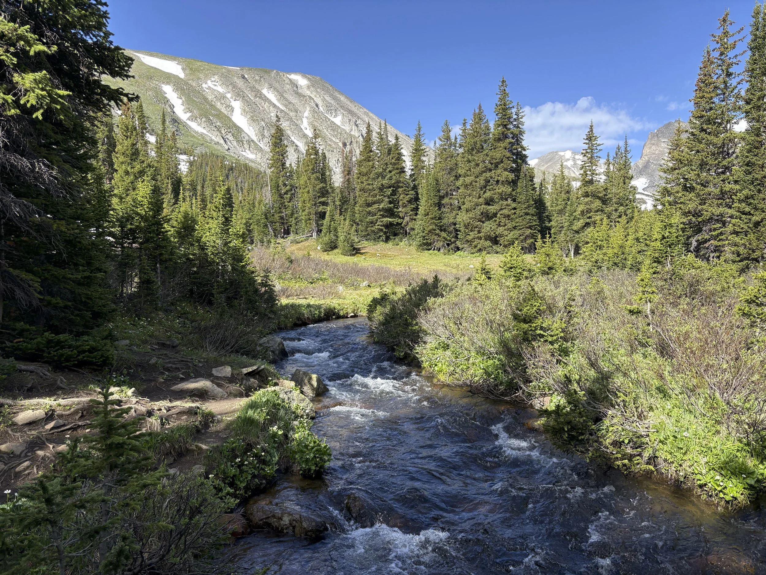 Farmers, Cattle, and the Colorado River Crisis | GFF ’25