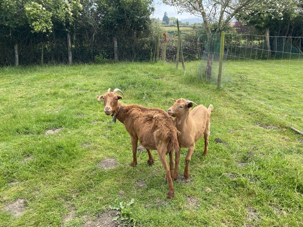   Photo by Sadie Bograd '25  