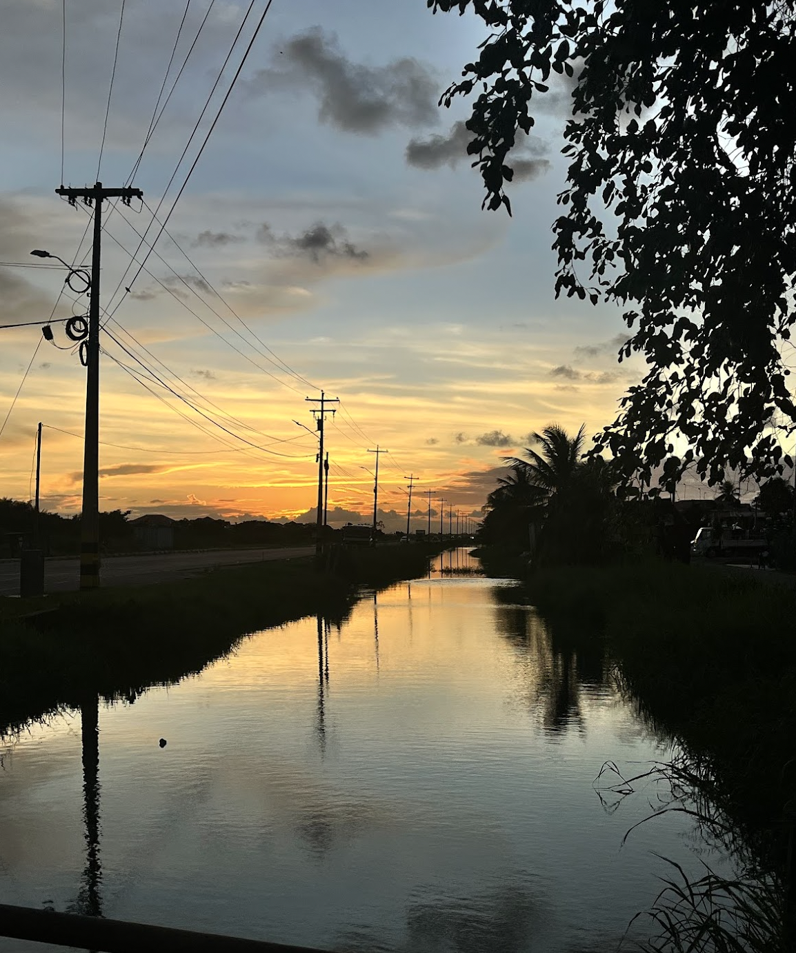When the People Do Not Know What to Do, They Go to the Land: Food Sovereignty, Health, and Quiet Resistance in Coastal Guyana | GFF '25