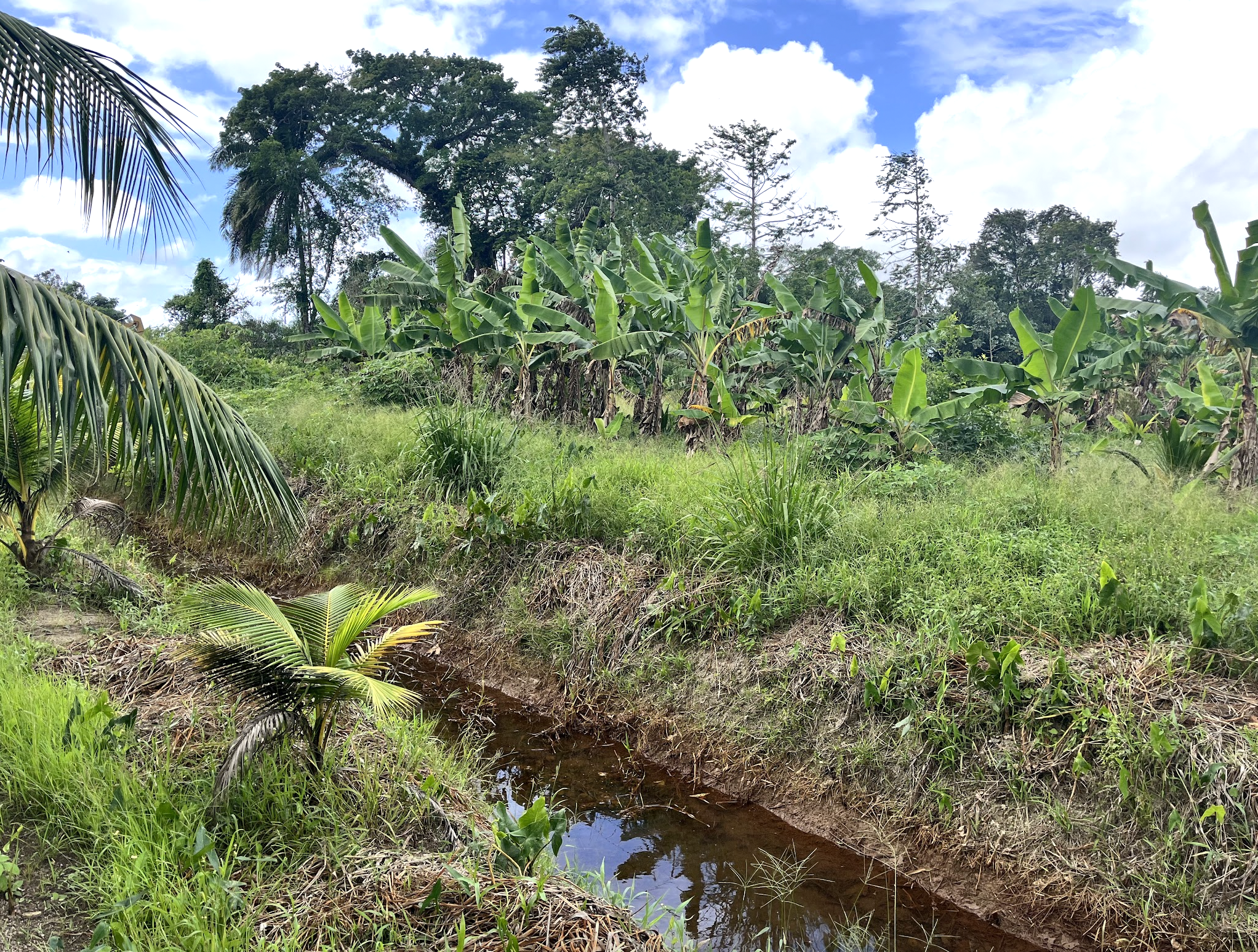   Back dam canals, where all is still.  Photo by Sian Auer.  