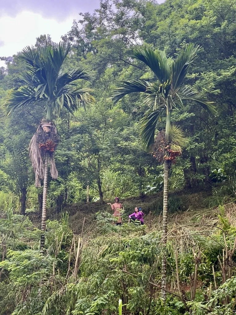 Roots of Health: Tracing Agricultural Histories to Public Health in Puerto Rico | GFF '25