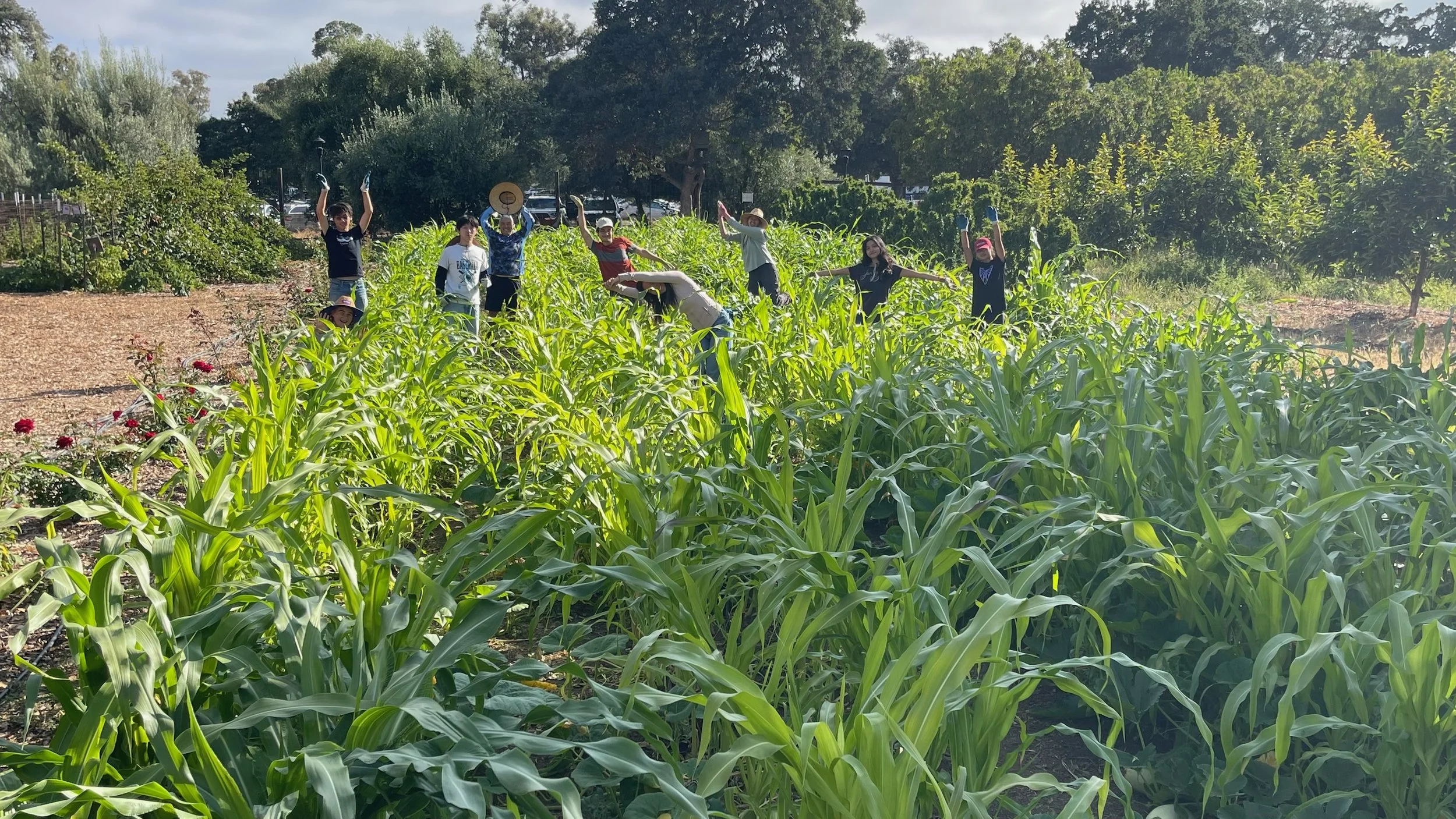 Chaos, Order, and Sustainable Organic Farming: A Summer at the O’Donohue Family Stanford Educational Farm | GFF '26