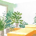 bedroomplants_closeup.jpg