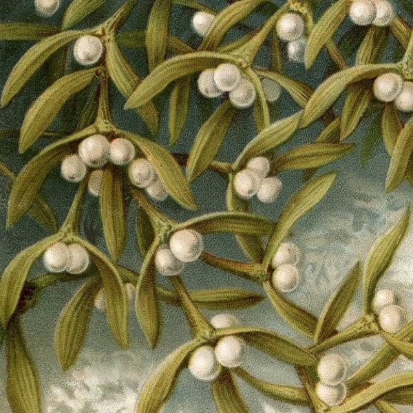 Vintage-Christmas-white berries2.JPG
