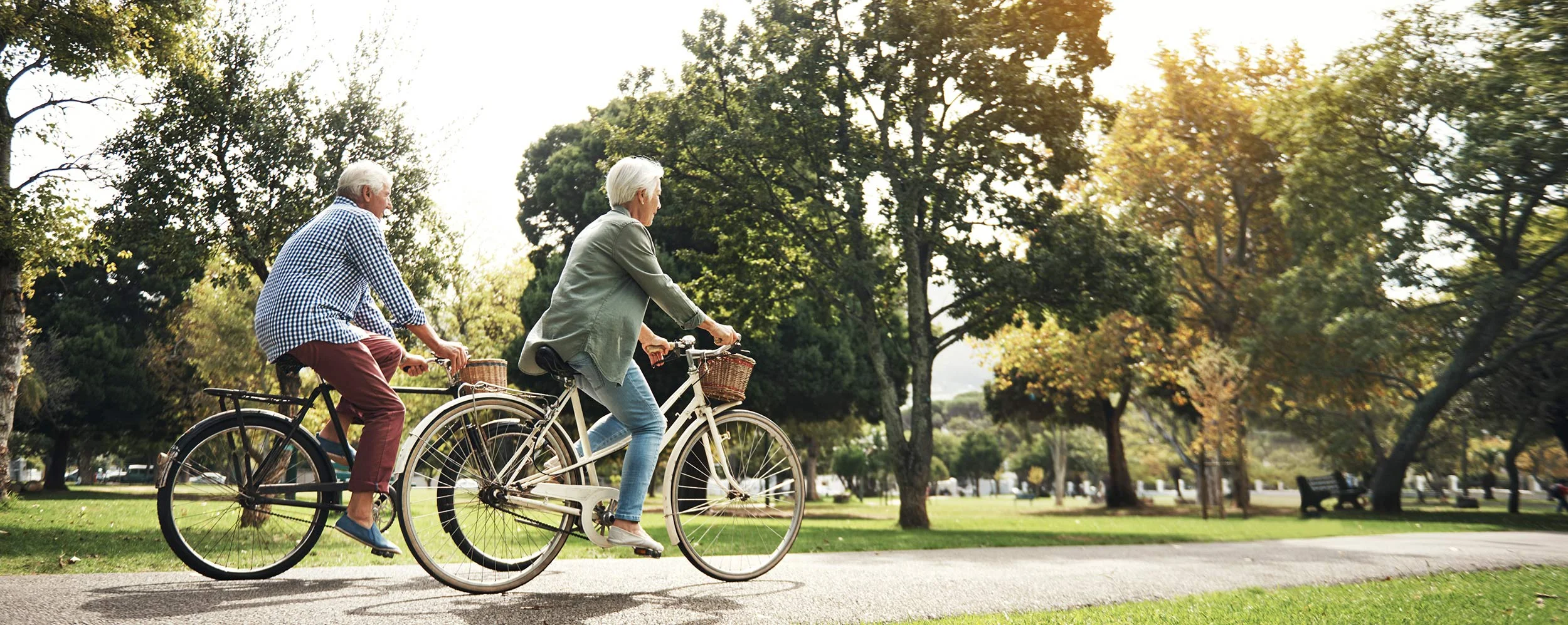 iStock-906783812_web.jpg