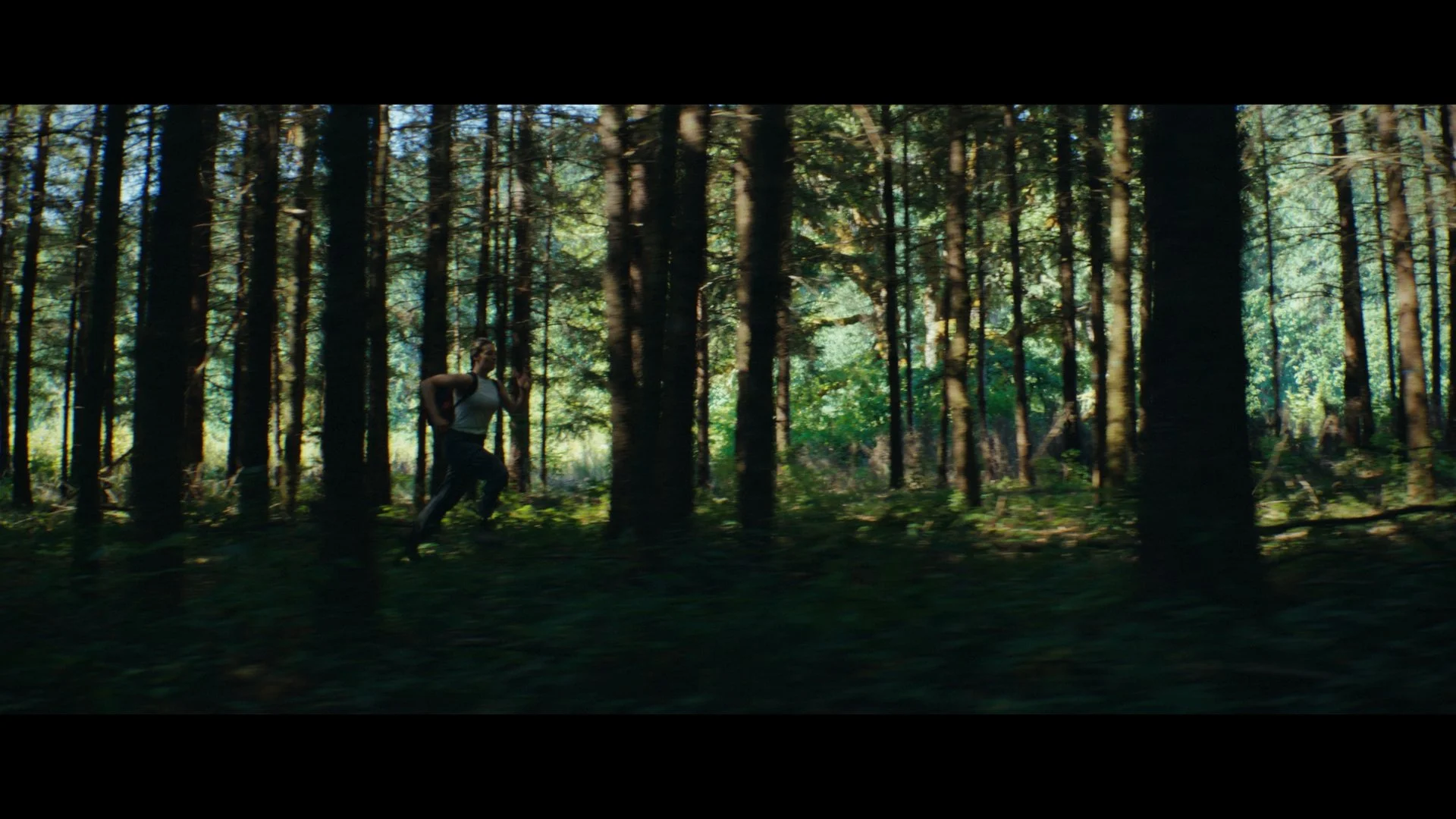 Still 2025-06-18 104730_1.1.21.jpg