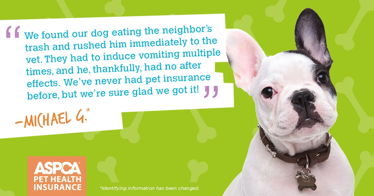 15HGI023_TestimonialGraphic_Facebook_dog_1200X630_1200.jpg