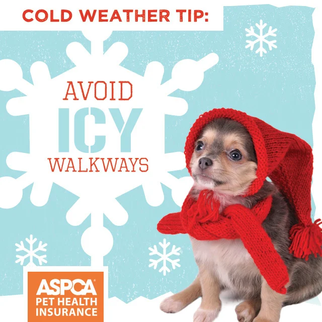 SafetyTip_Instagram_1_640.jpg
