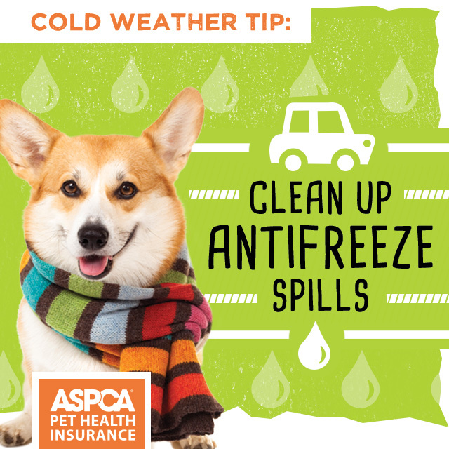 SafetyTip_Instagram_3_640.jpg