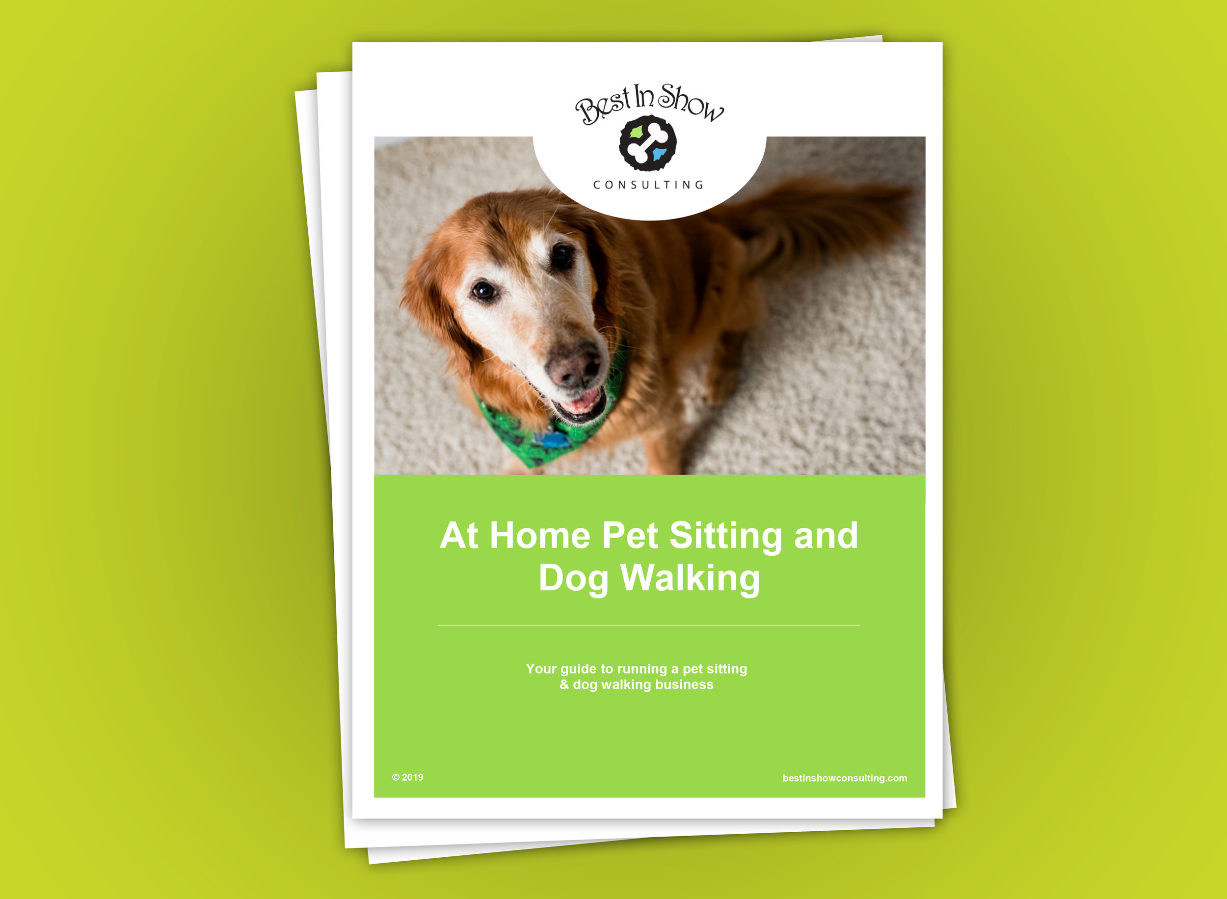Denver Pro Pet Sitting  Denver's Premier Pet Sitting, Dog Walking & House  Sitting Service-Fast Dog Facts For Fun
