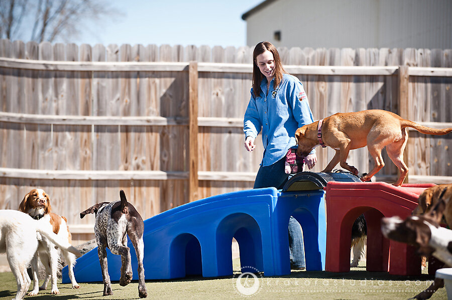 Our Own Success Story Best in Show Consulting