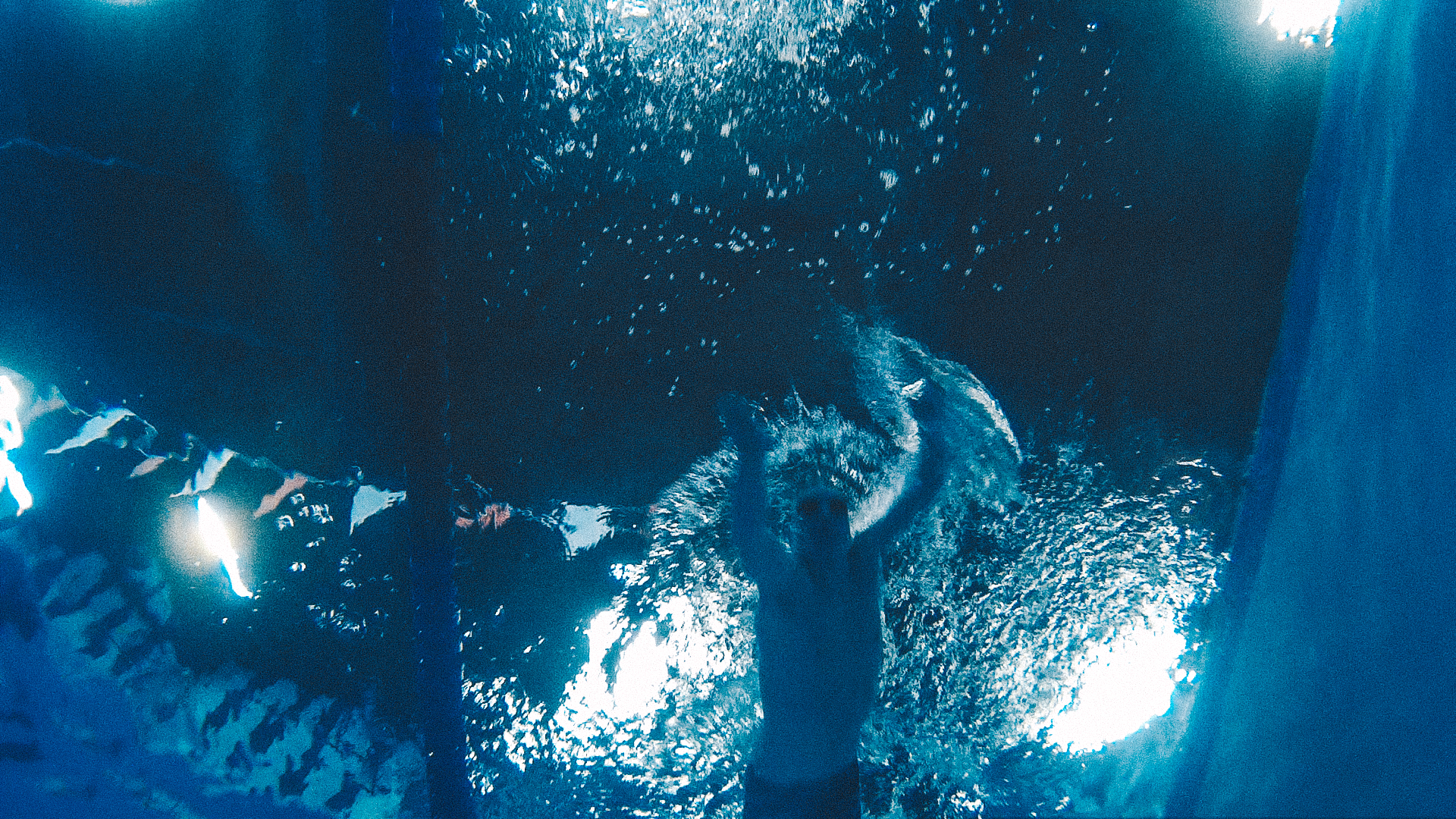underwater 2.jpg