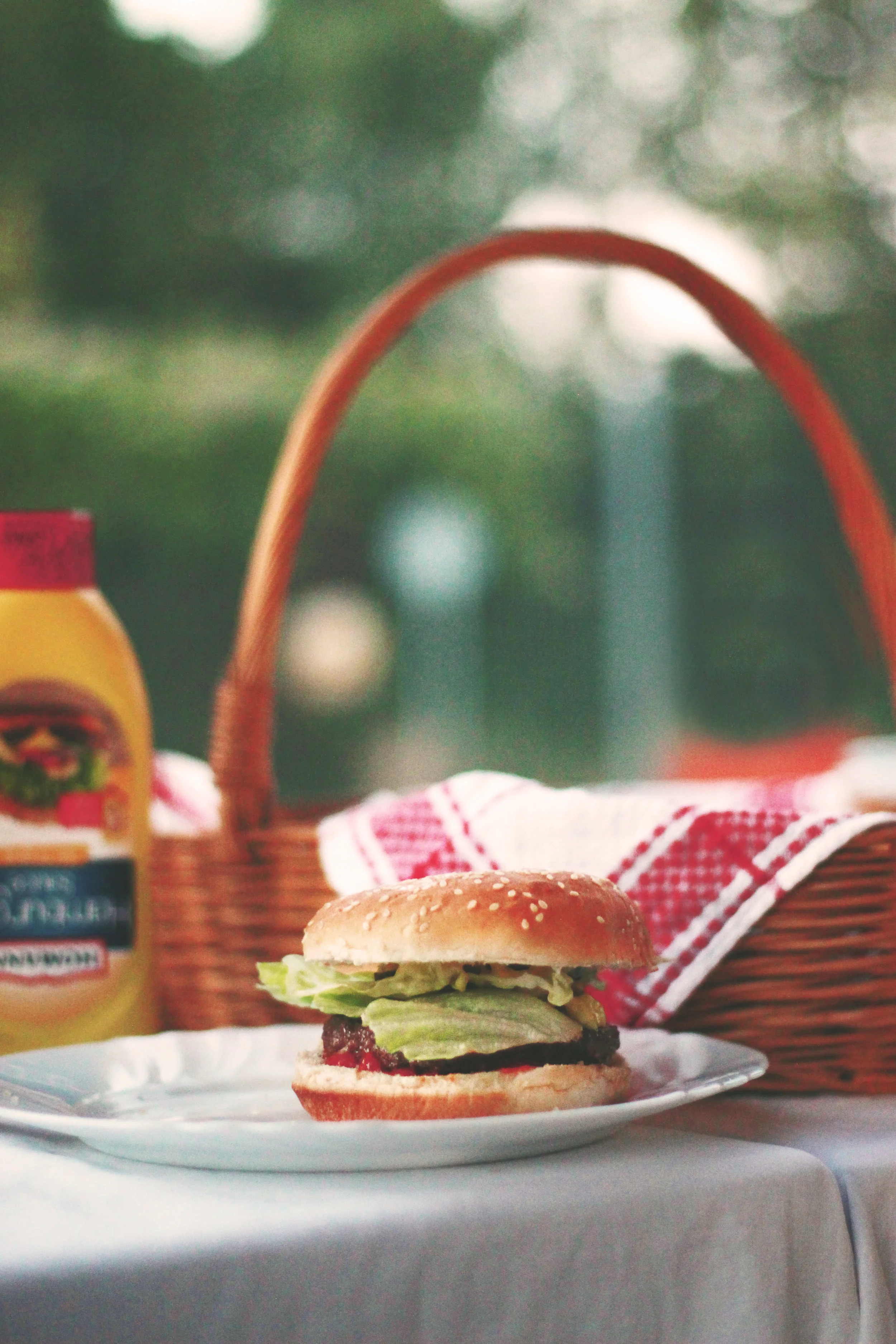 Outdoor Worship and Sunday School Picnic