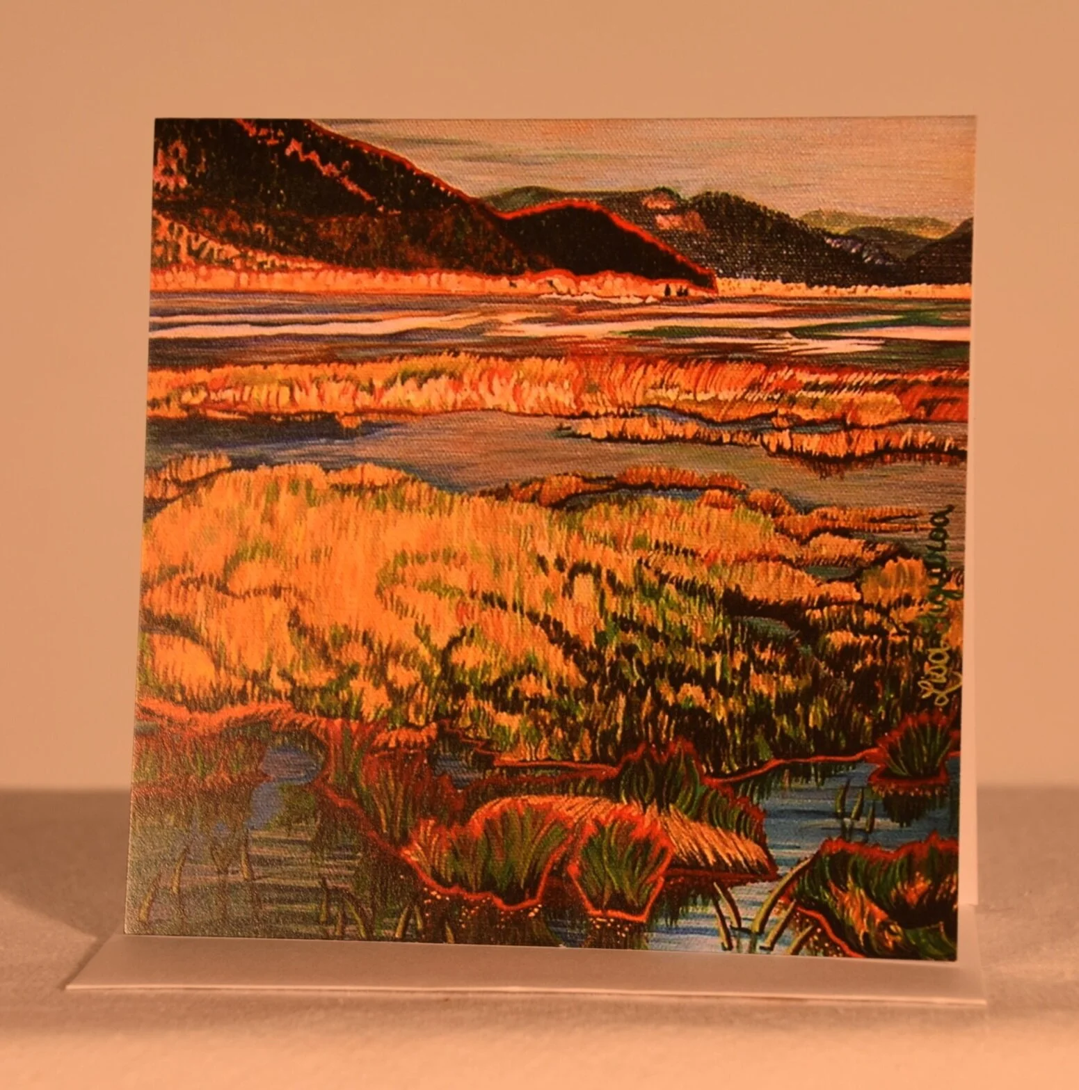 Salmon Arm Foreshore