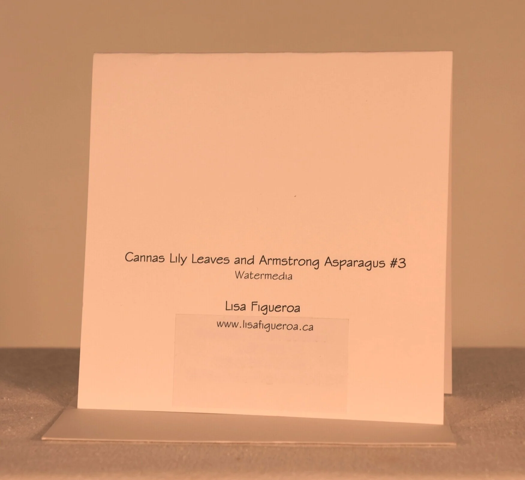 cannas_lily_leaves_and_armstrong_asparagus_3-card-back-lisa_figueroa.jpg