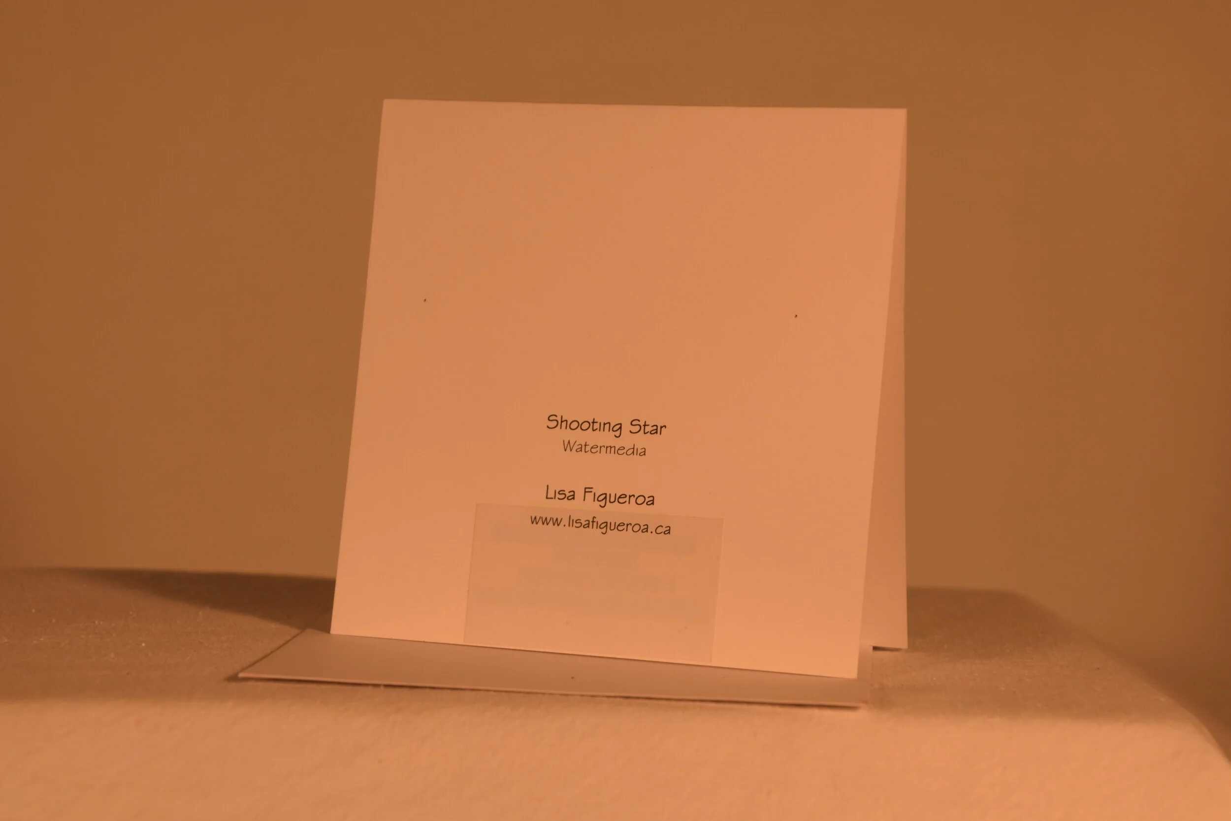 shooting_star-card-back-lisa_figueroa.JPG