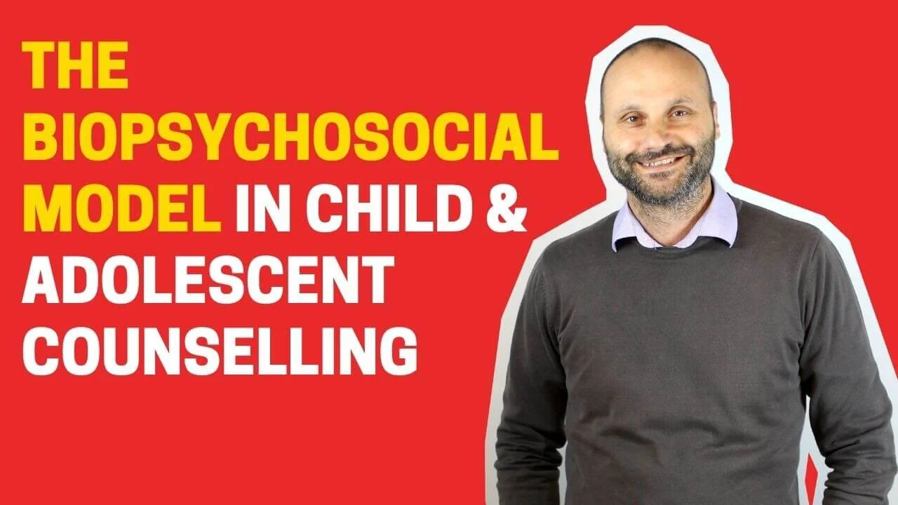 The Biopsychosocial Model in Child &amp; Adolescent Counselling
