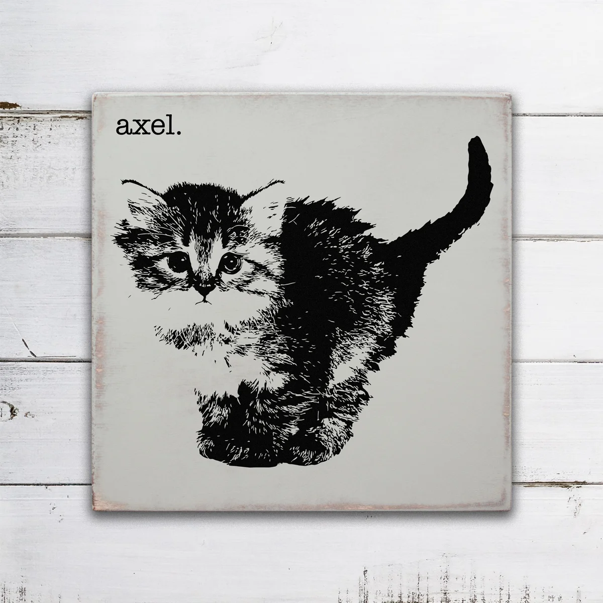 kitten.jpg