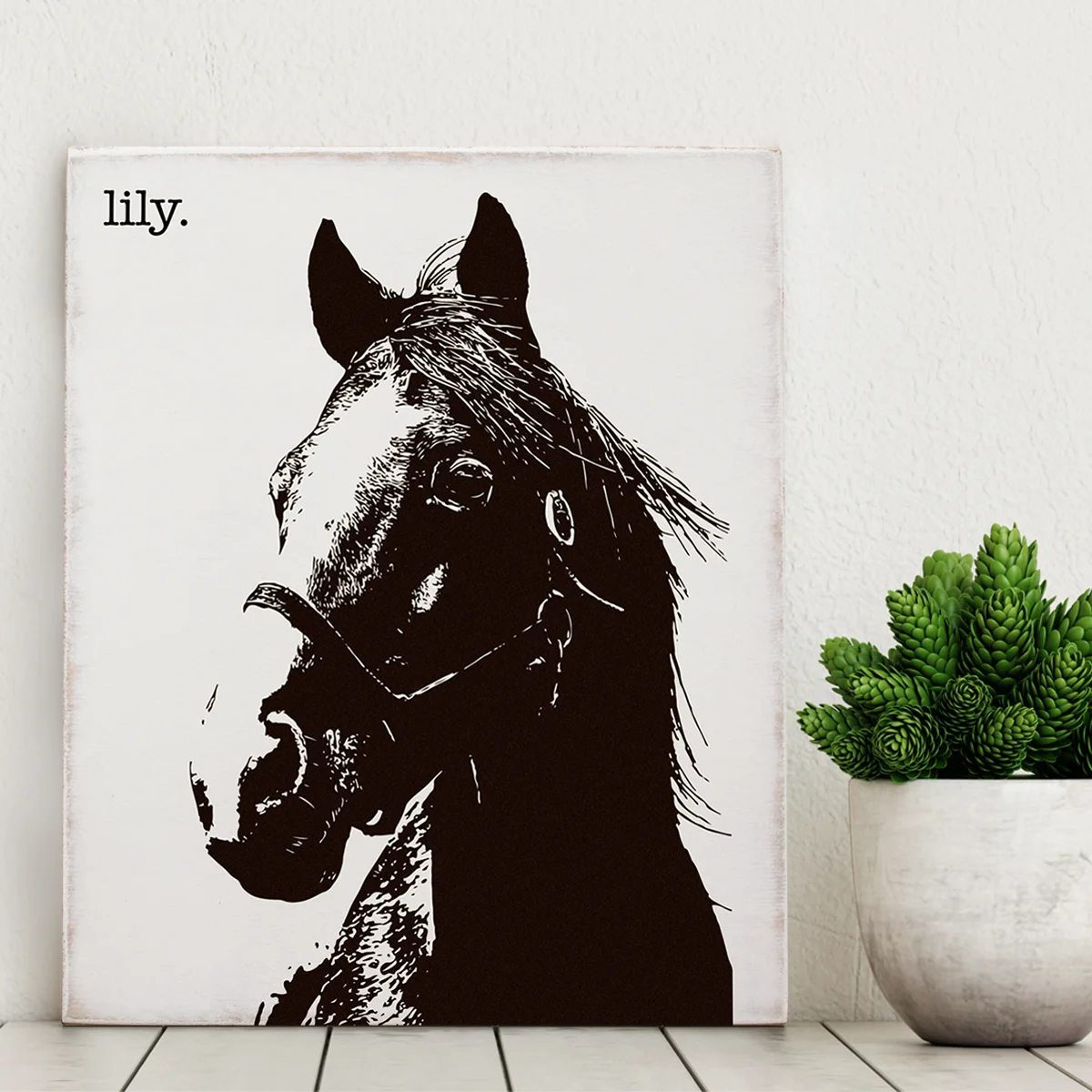 horse.jpg
