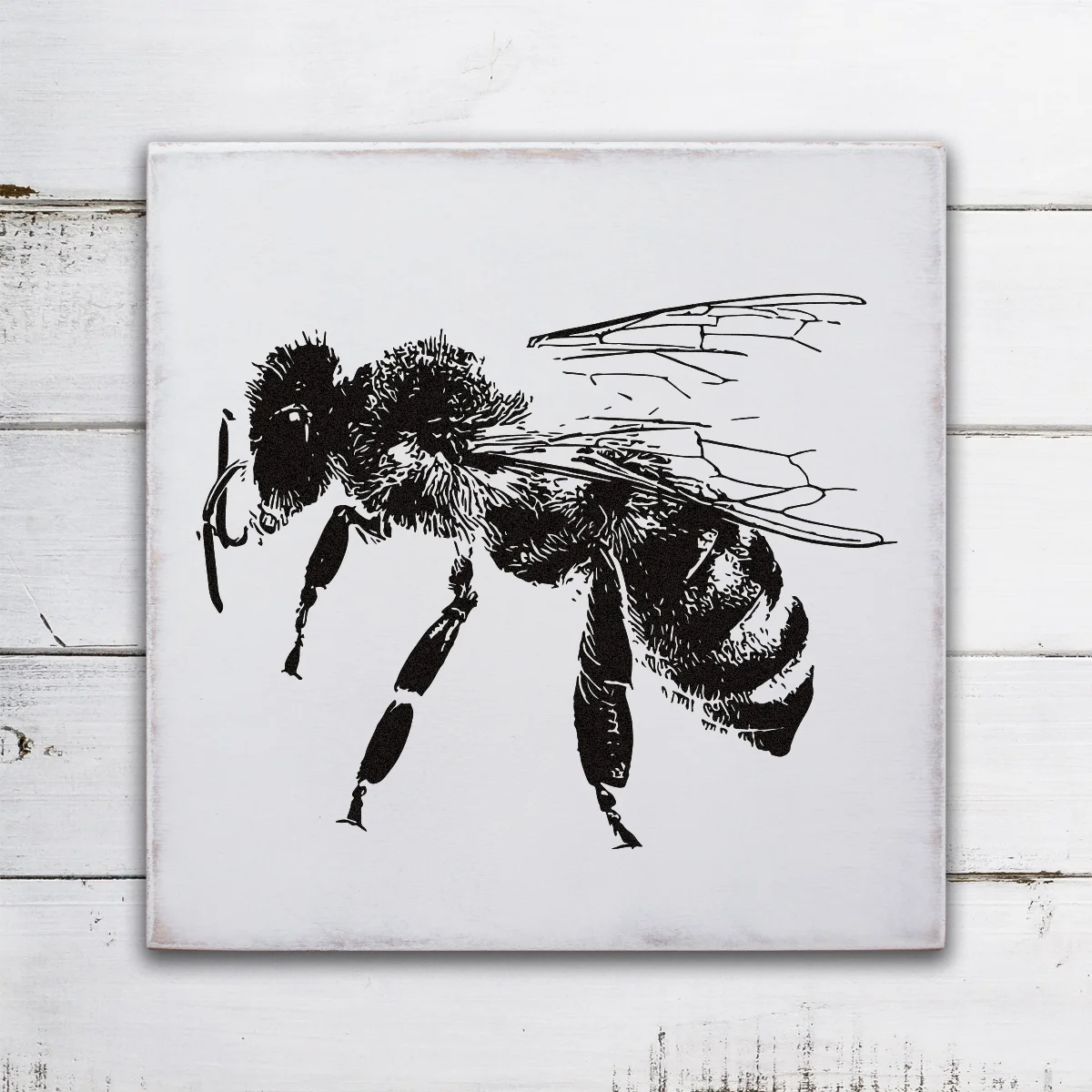 bee_proof3.jpg