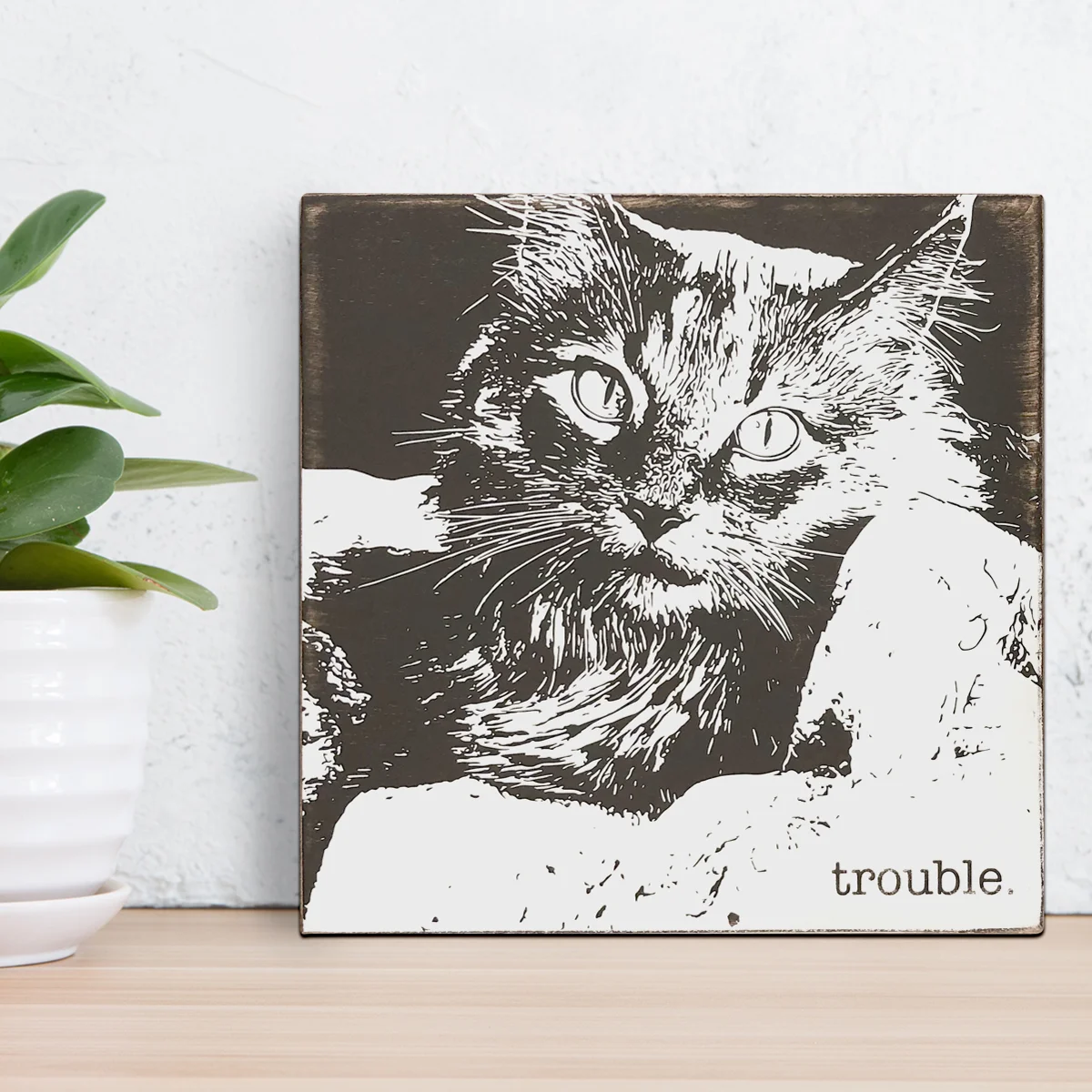 trouble_portrait.jpg