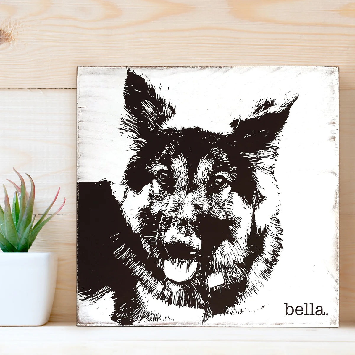 bella_portrait.jpg