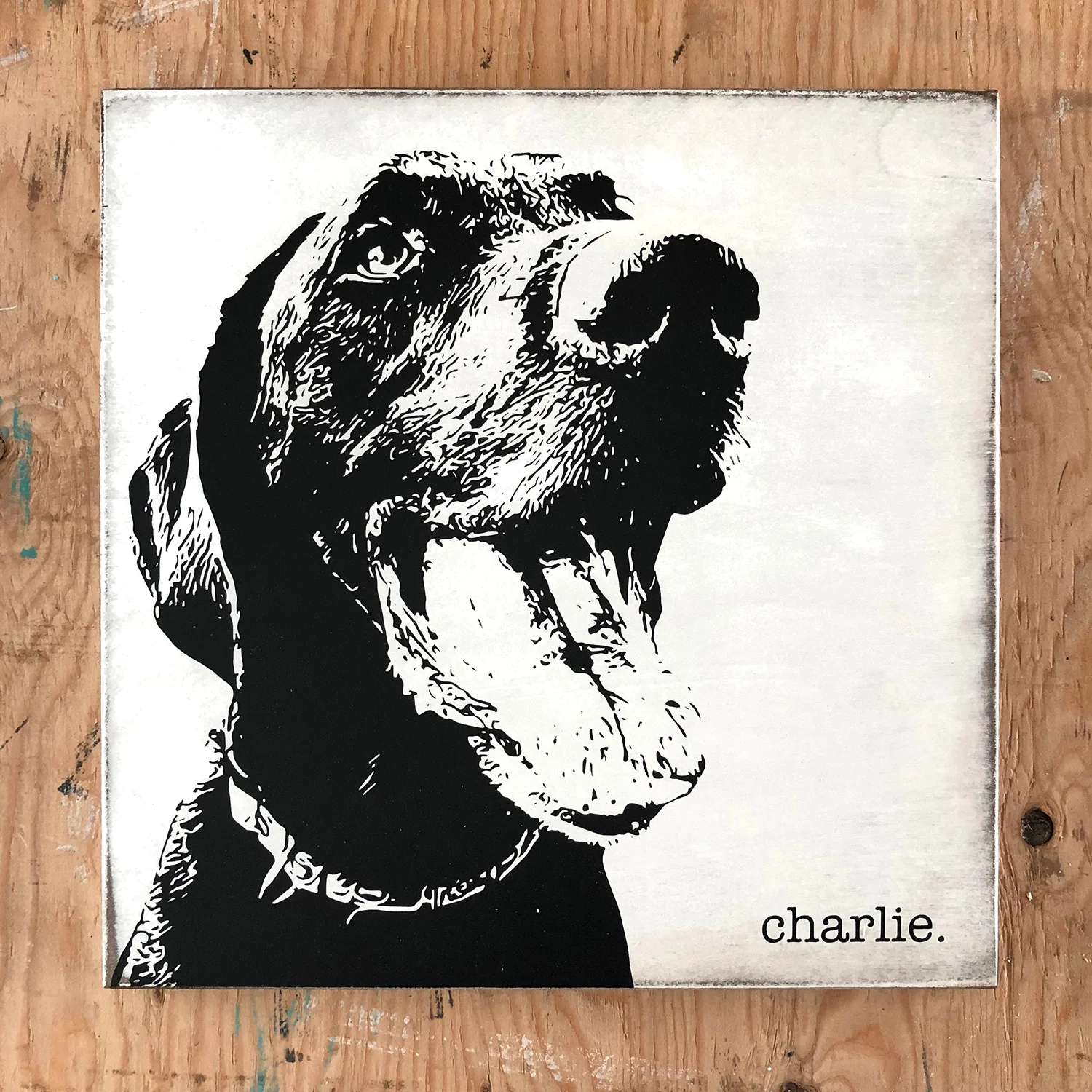 charlie.jpg