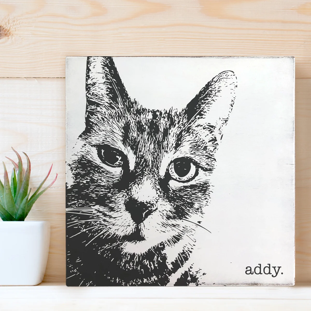 AddyPortrait.jpg
