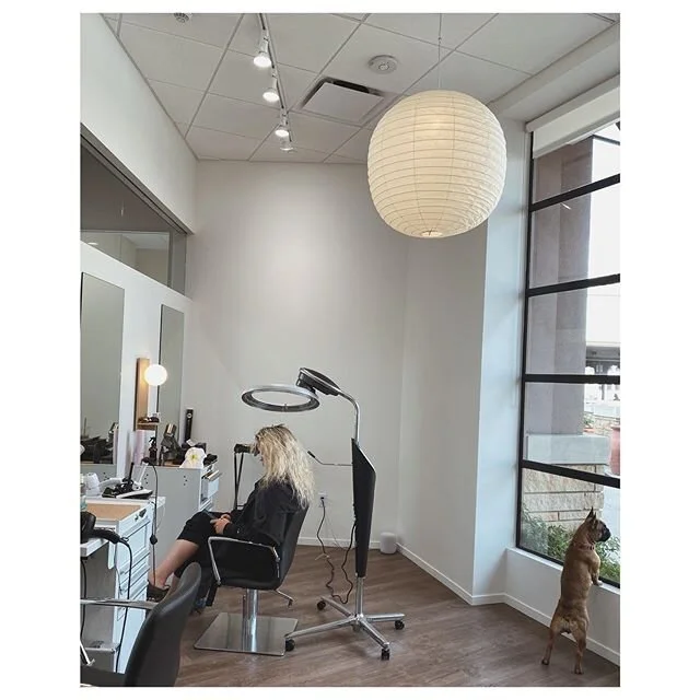 Won&rsquo;t get to see this cuteness in awhile.  I am now taking prepaid hair appointments and I&rsquo;ll write it under your client notes with the credit you sent me ❤️ my Venmo is @christinedchoi 🙏 or you can use my cell for Zelle and just message