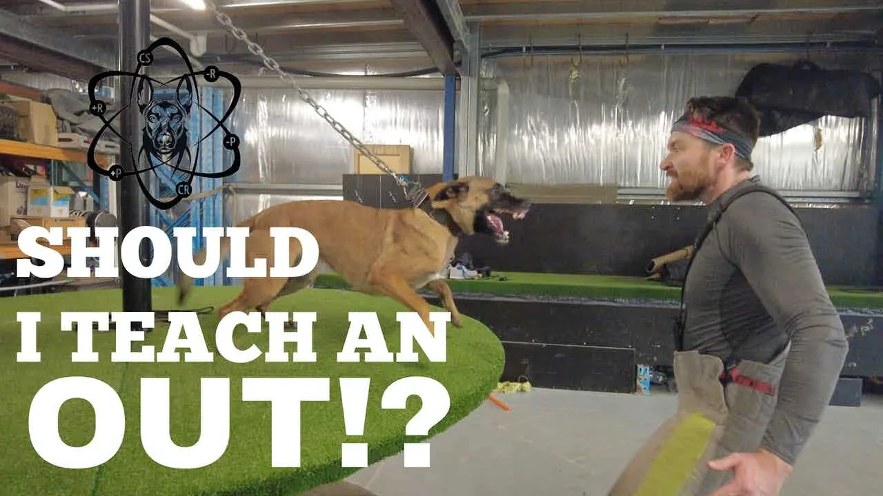 Should I teach an out?