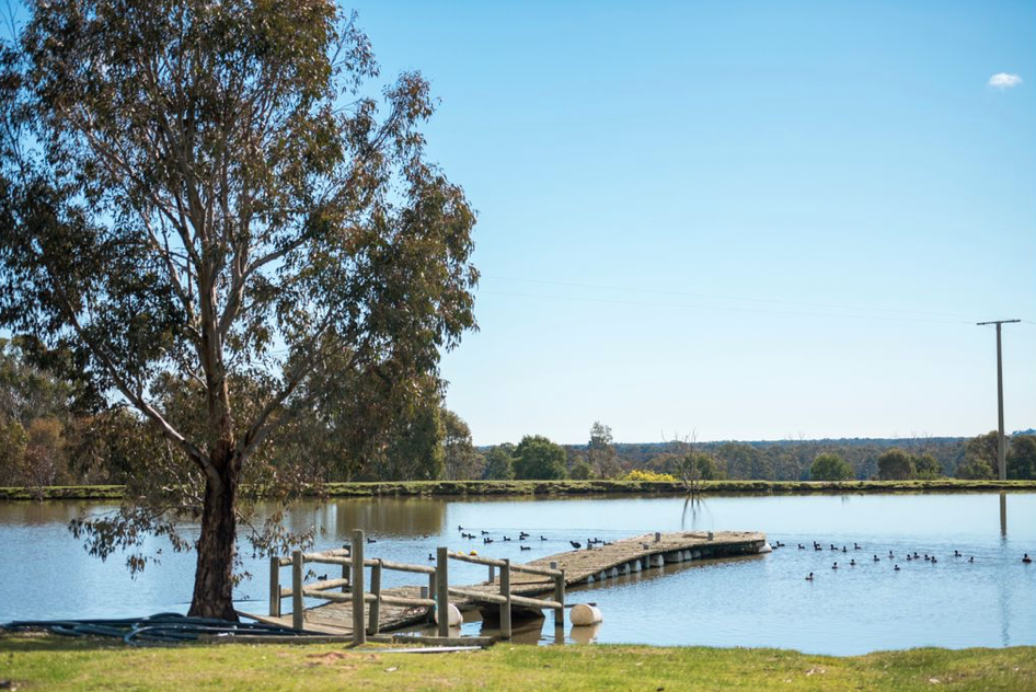 Lake.png