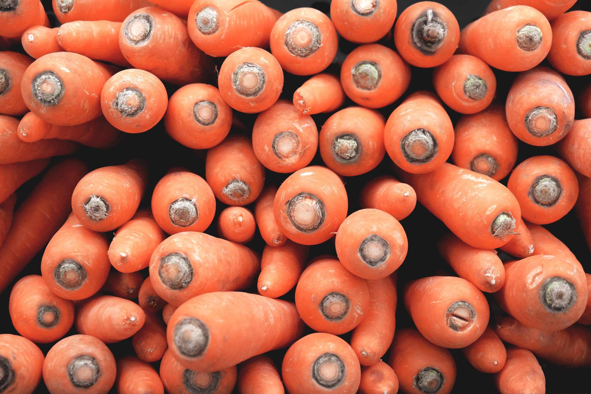 Carrots.jpg