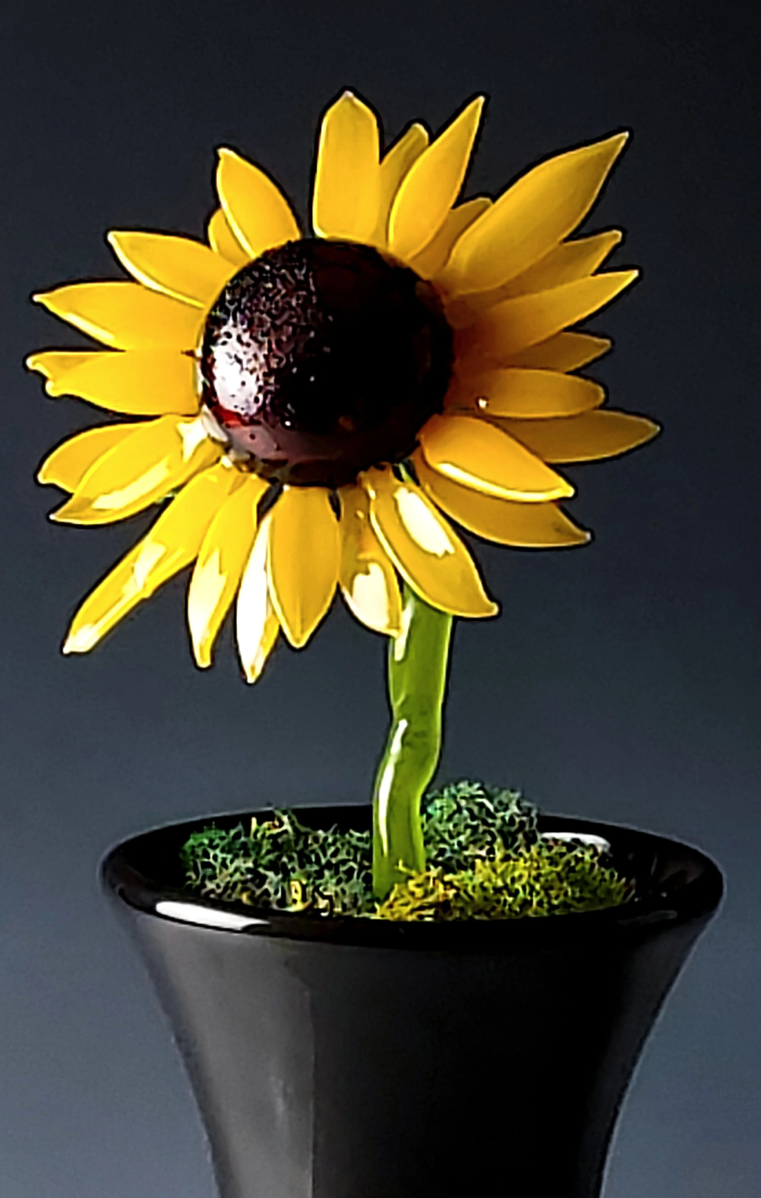 sunflower 12.jpg