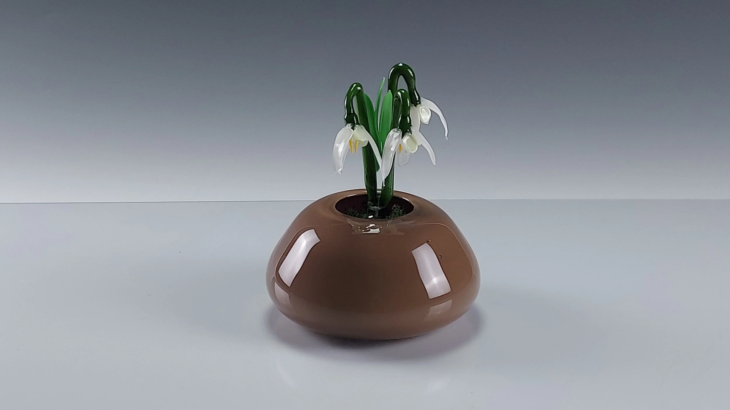 snowdrops in bowl 2025.jpg