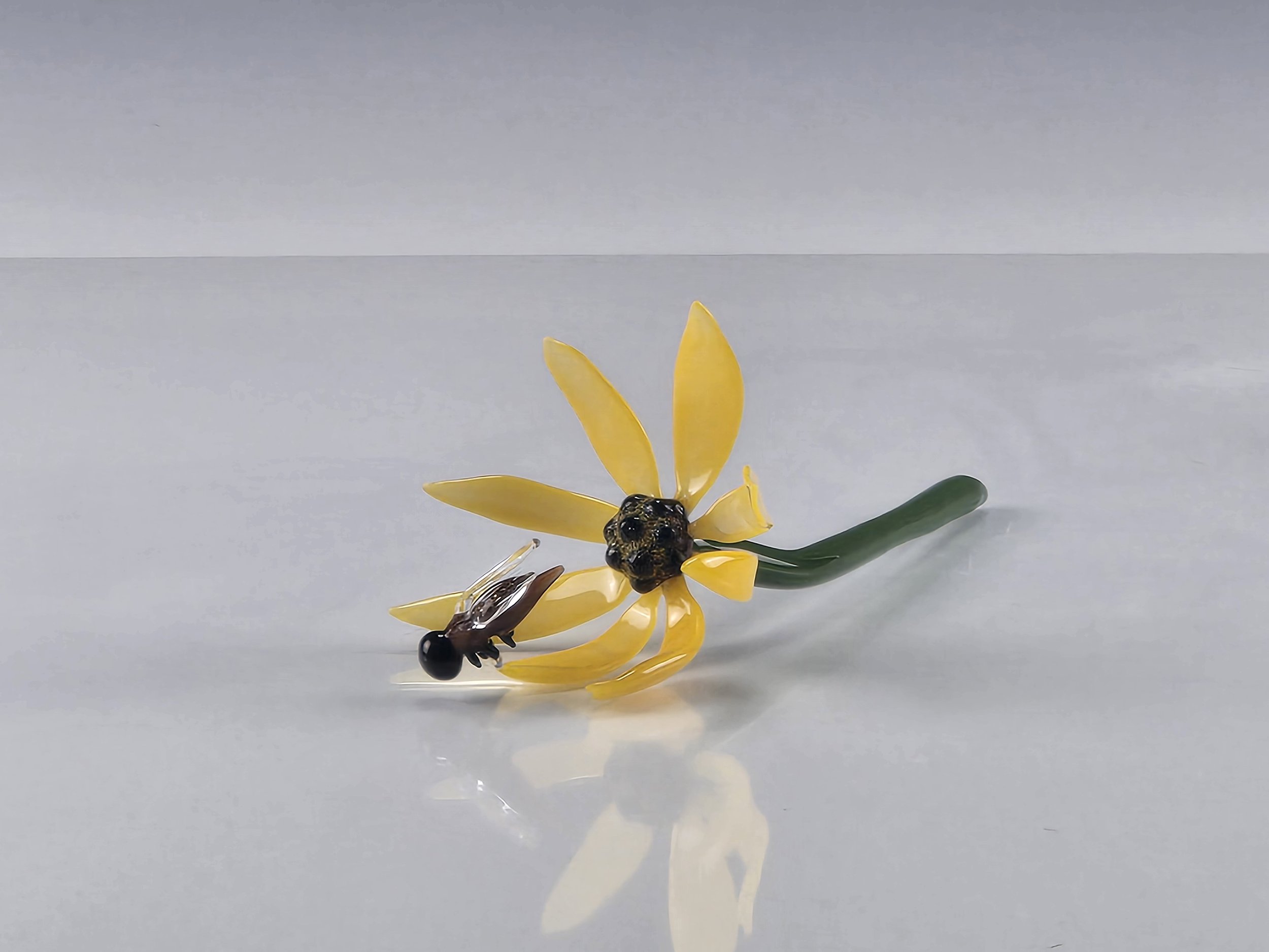 Yellow Wildflower with Bee