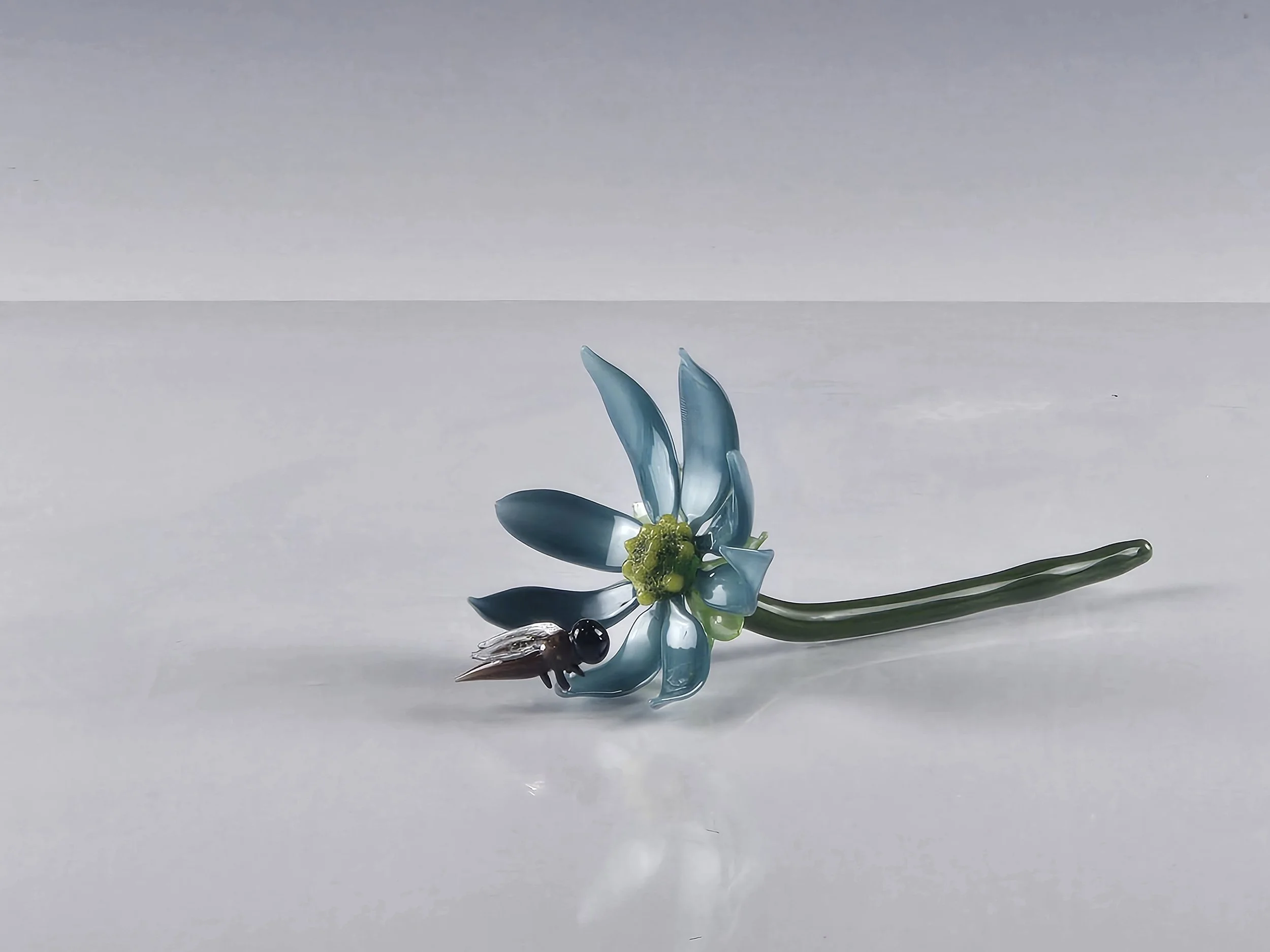 Blue Wildflower with Bee