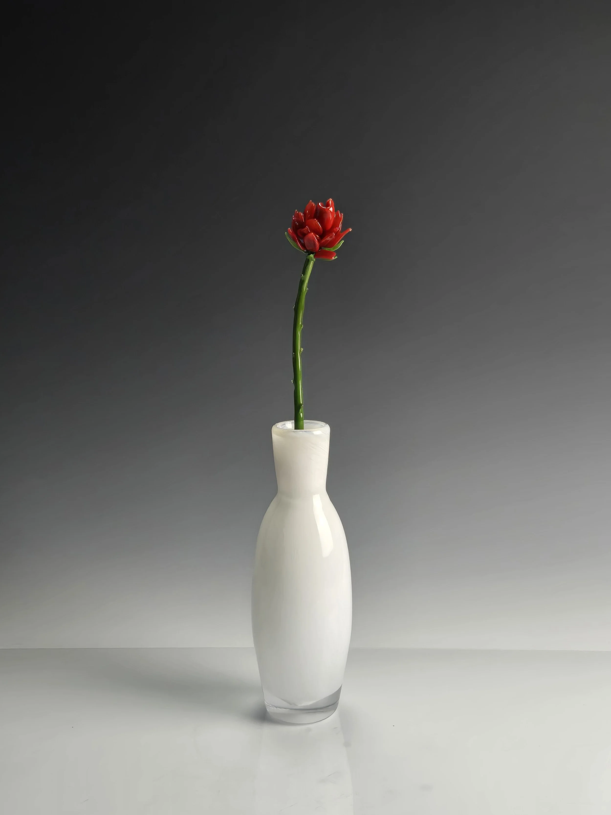 Rose in Vase