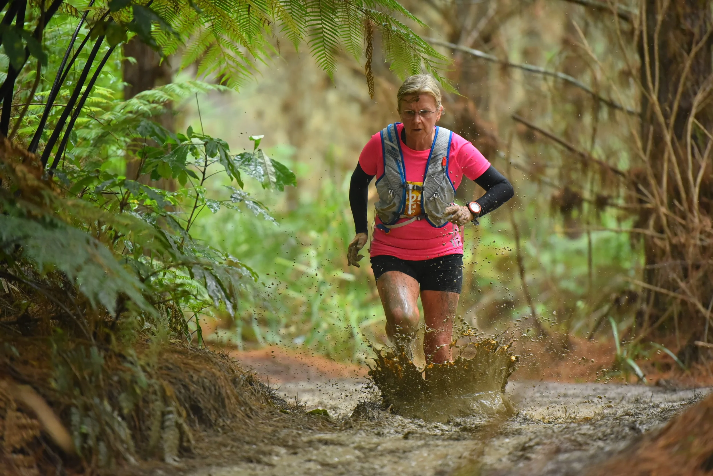 Riverhead Forest - Date TBC