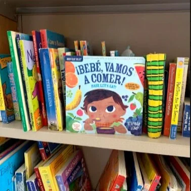 Book Recommendations for School-aged Kids and Teens