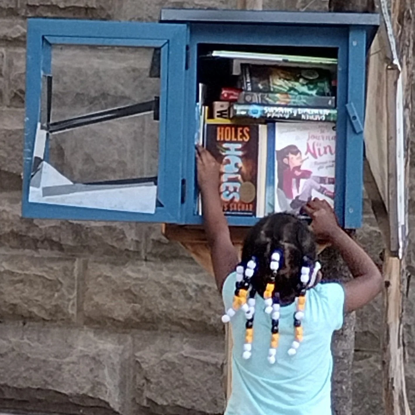 Brooklyn Book Bodega in the Bronx?!
