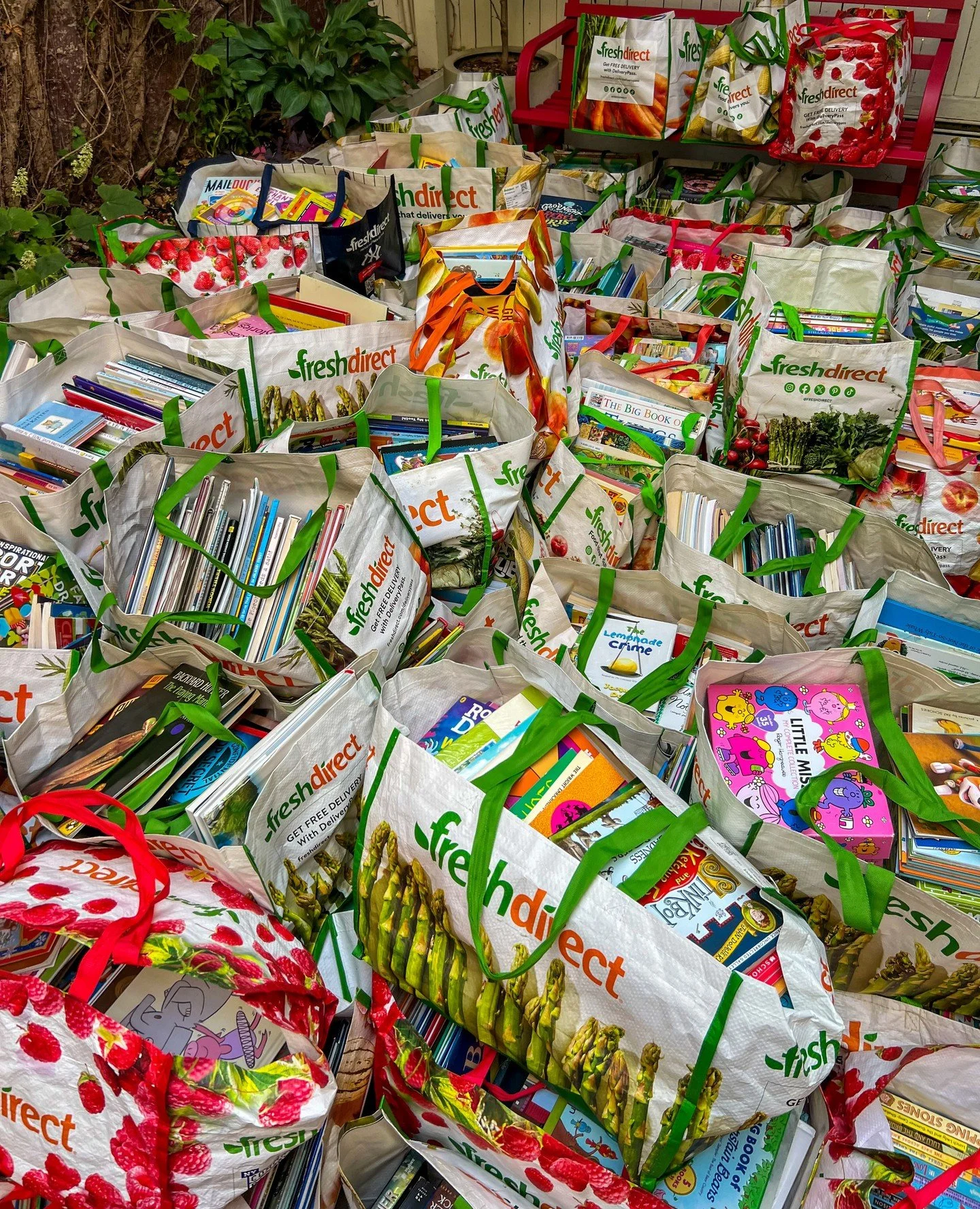 CALL FOR FRESH DIRECT BAGS!⁠
⁠
If you've received books from Brooklyn Book Bodega in Fresh Direct bags, we could use them for more book orders for the community!⁠
⁠
If you have extra bags, please drop them off in our book donation bin in the lobby of