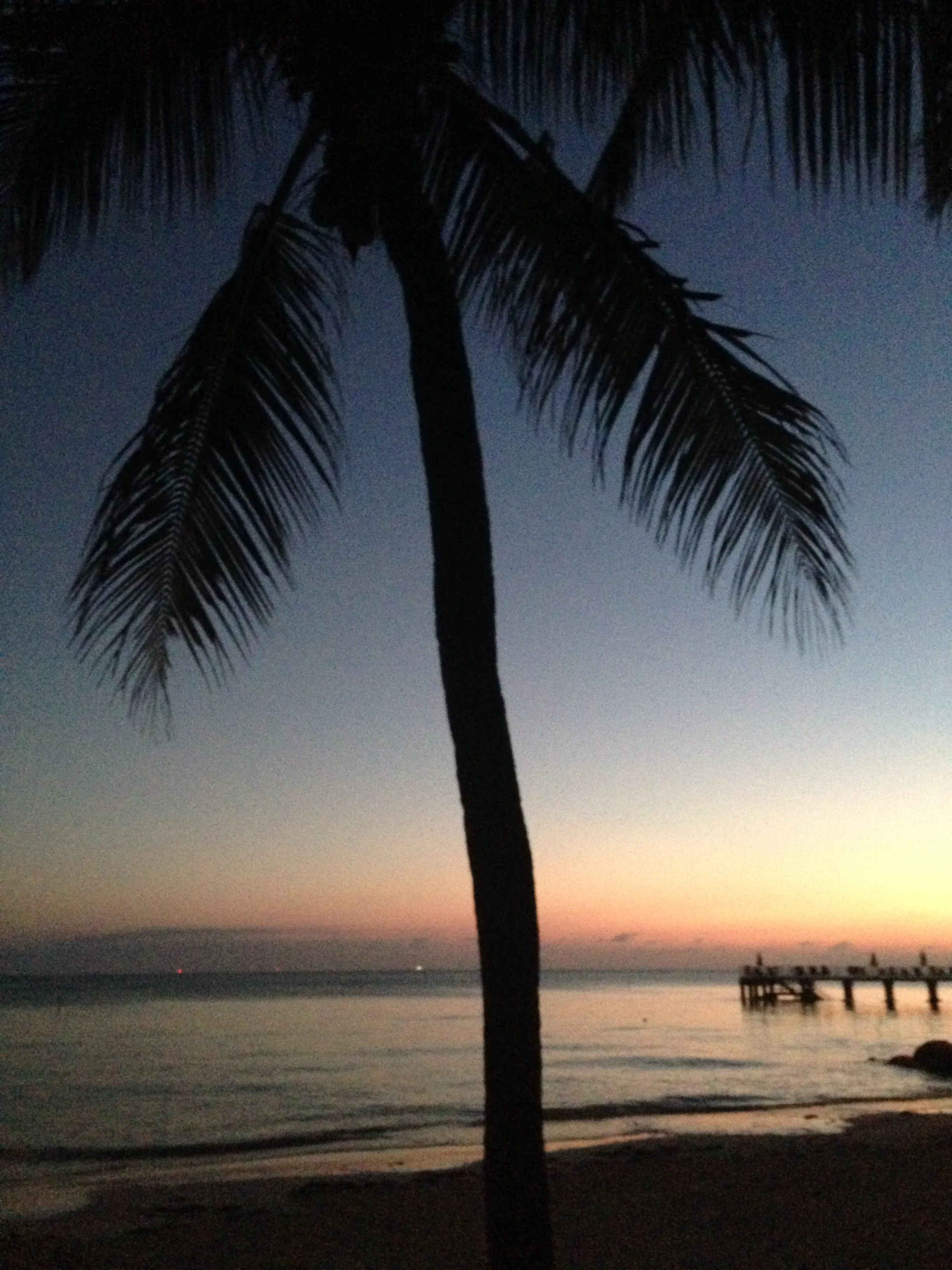 Key West Restaurants