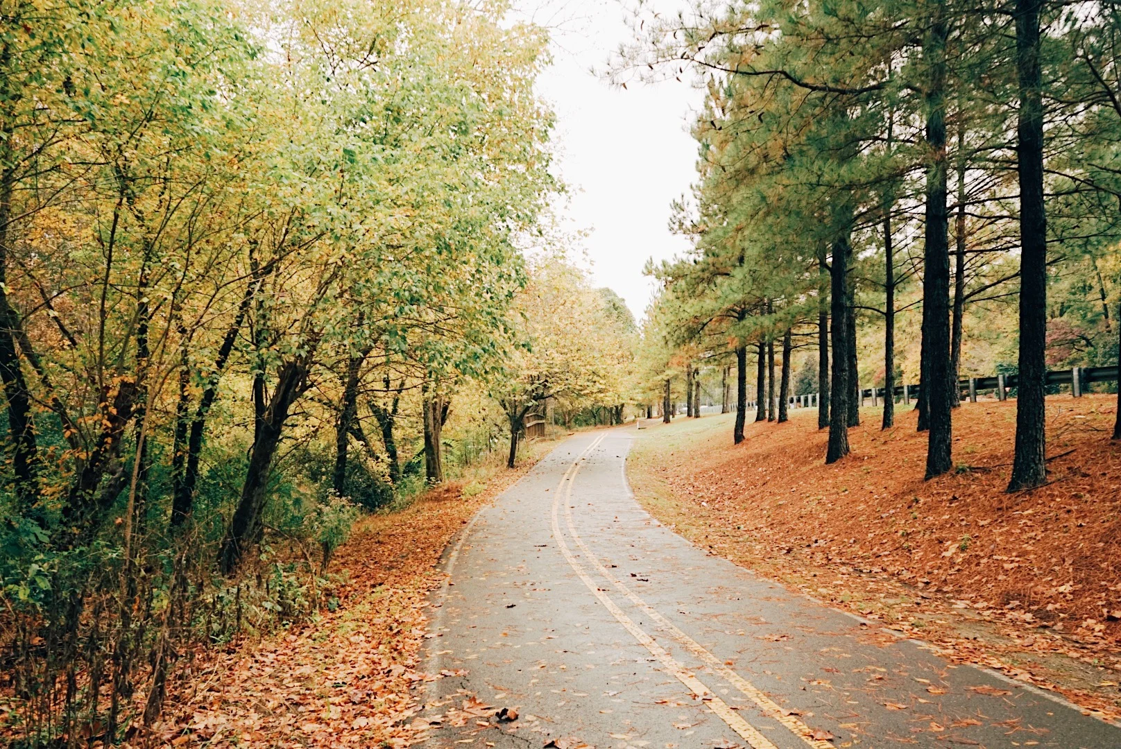 Connection to solve problems