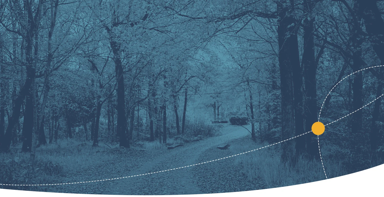 leafy-path-banner.jpg