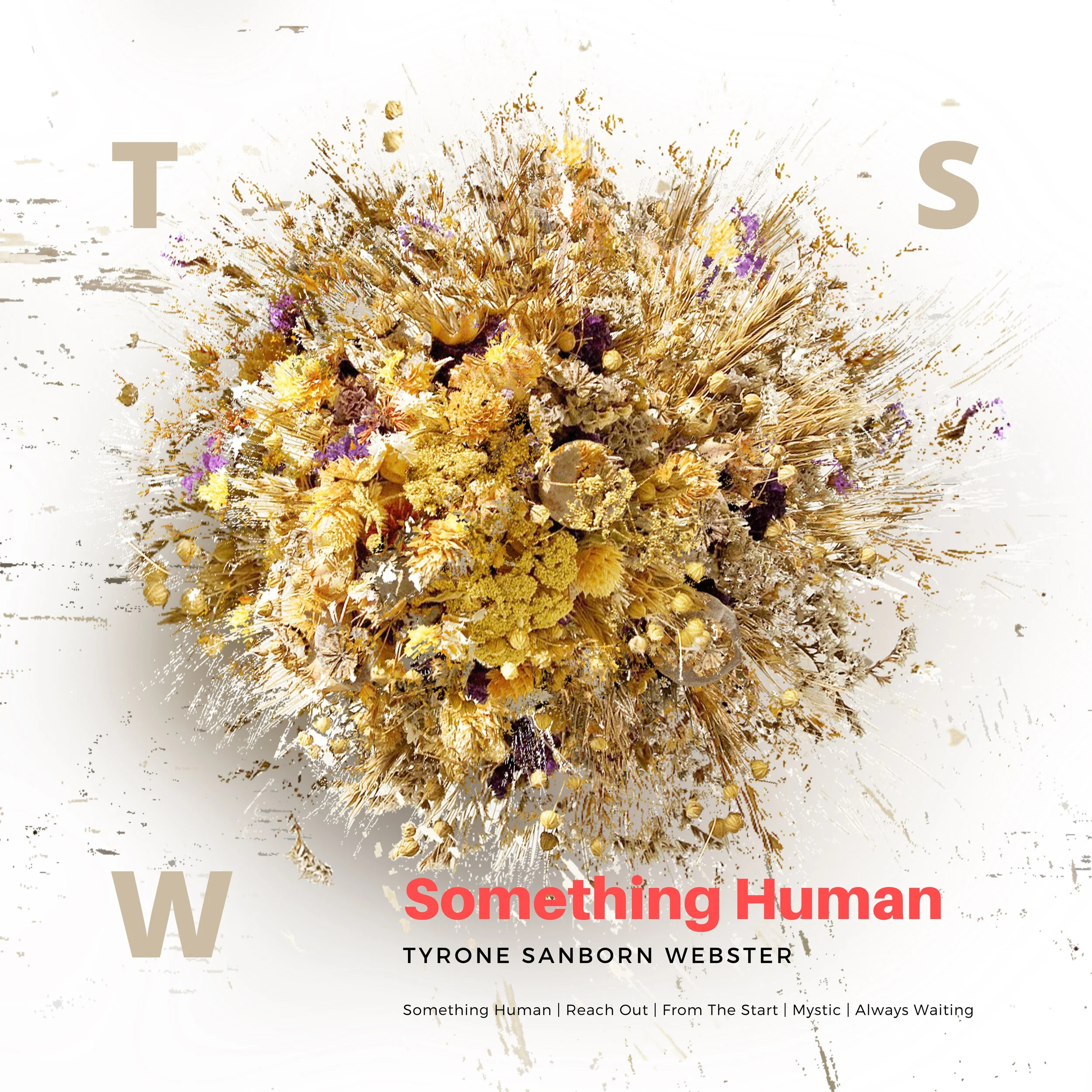 REVIEW: 'Something Human' by Tyrone Sanborn Webster 