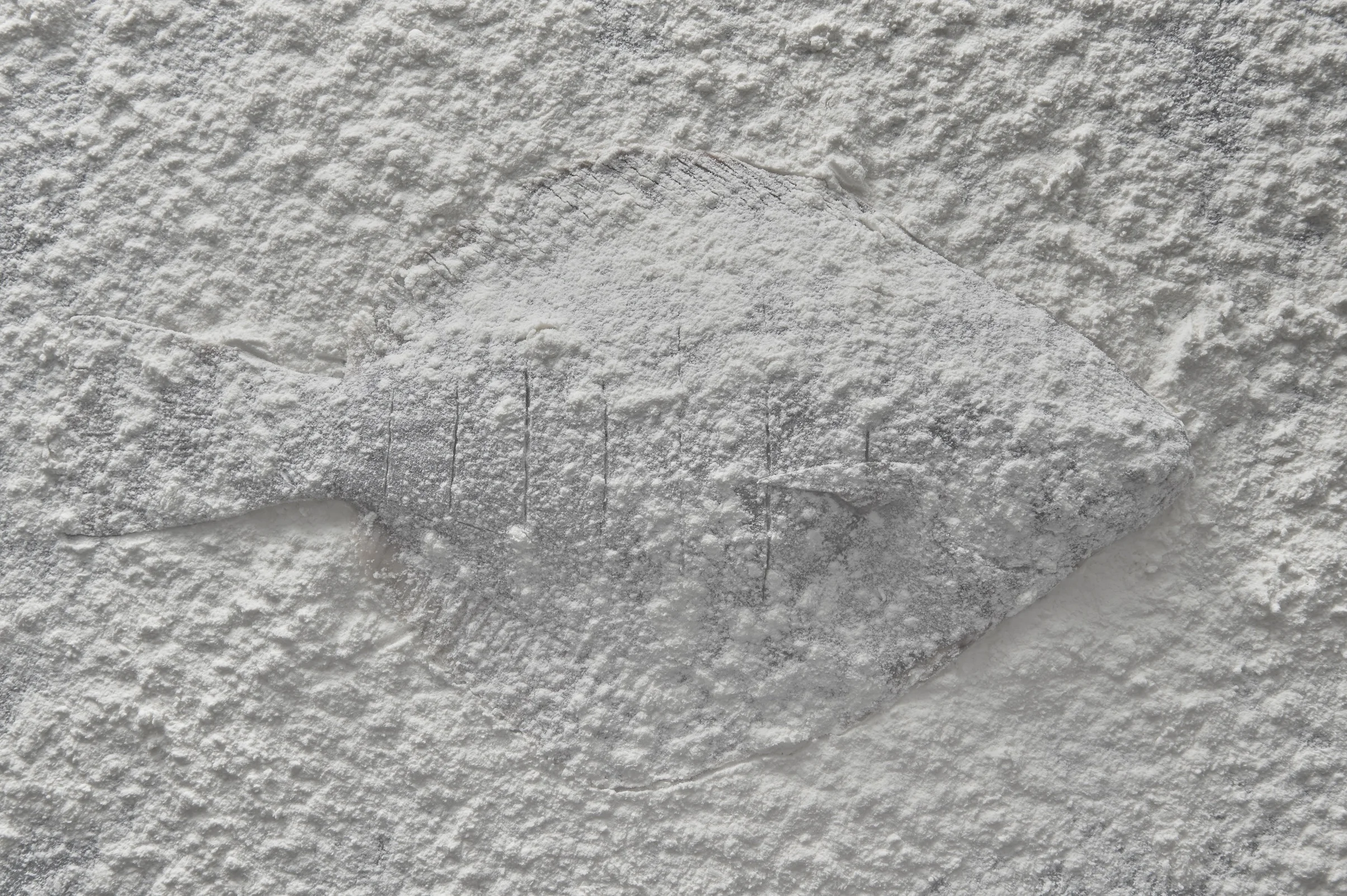 Flounder in flour copy.jpeg